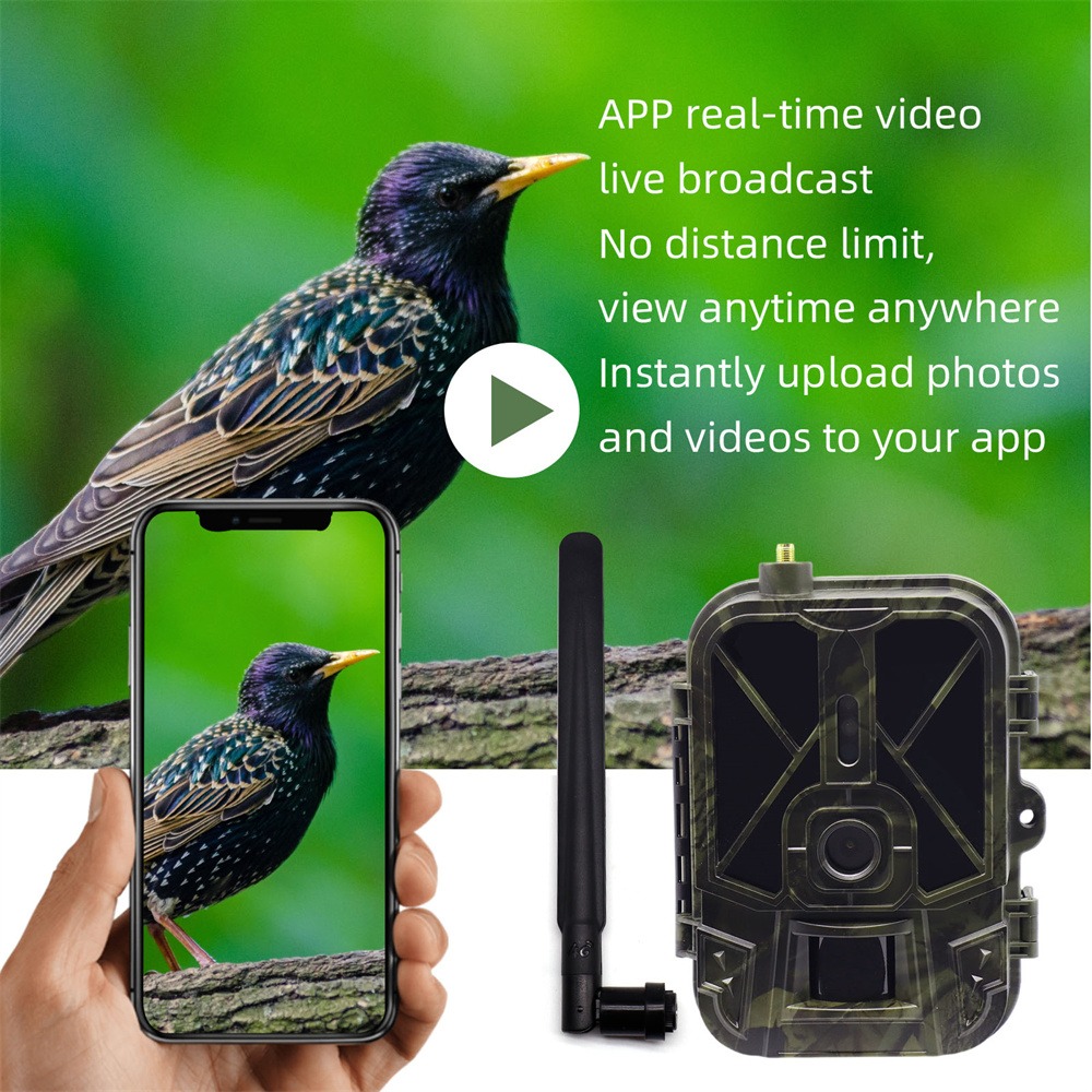 Outdoor 4G 120MP 4K Live Show  - Hunting Outdoor Shows บทวิจารณ์และราคา