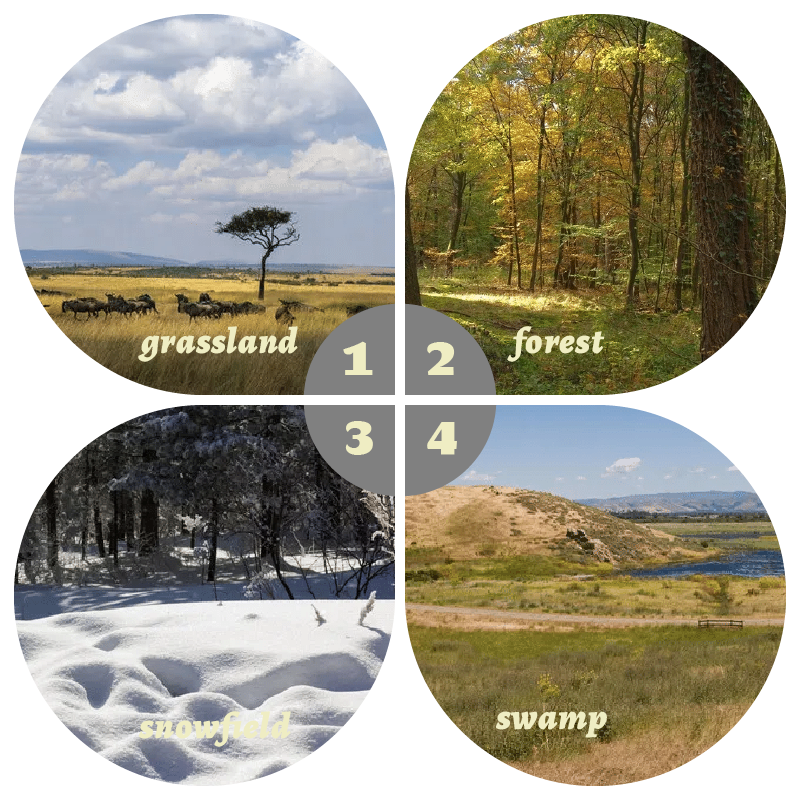 Camouflage Pop-Up Hunting Blin - Hunting & Outdoor Supplies Vanderbijlpark บทวิจารณ์และราคา