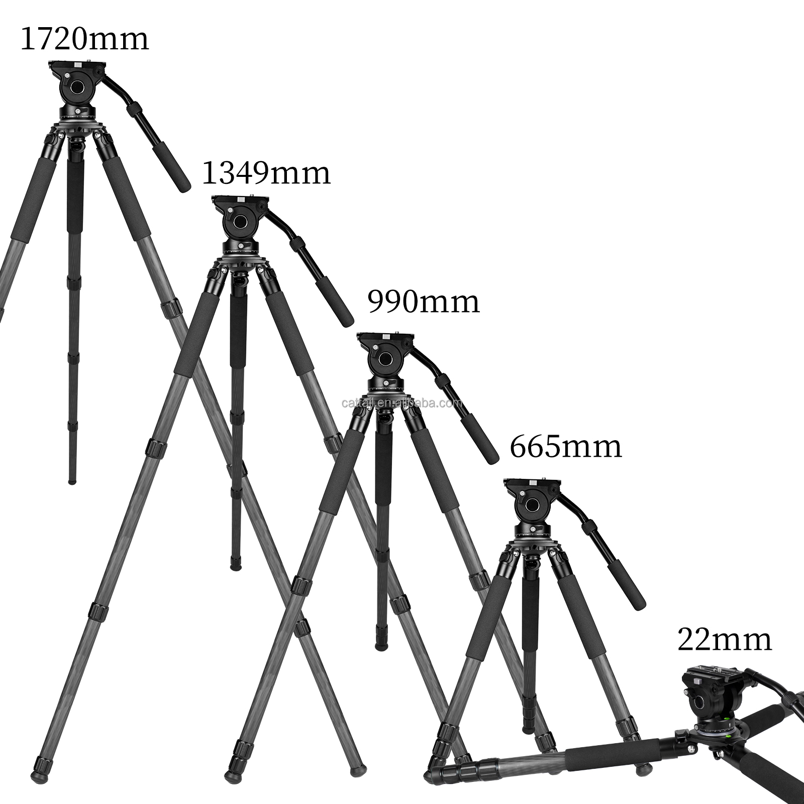 CatTail CT-3 Professional 40MM - Outdoor Hunting Photography บทวิจารณ์และราคา