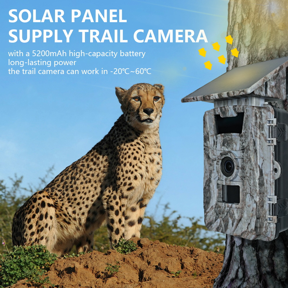 Solar WiFi 4K 60MP Hunting Cam - Outdoor Hunting Photography บทวิจารณ์และราคา