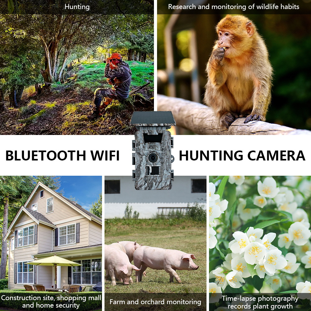 Solar WiFi 4K 60MP Hunting Cam - Outdoor Hunting Photography บทวิจารณ์และราคา