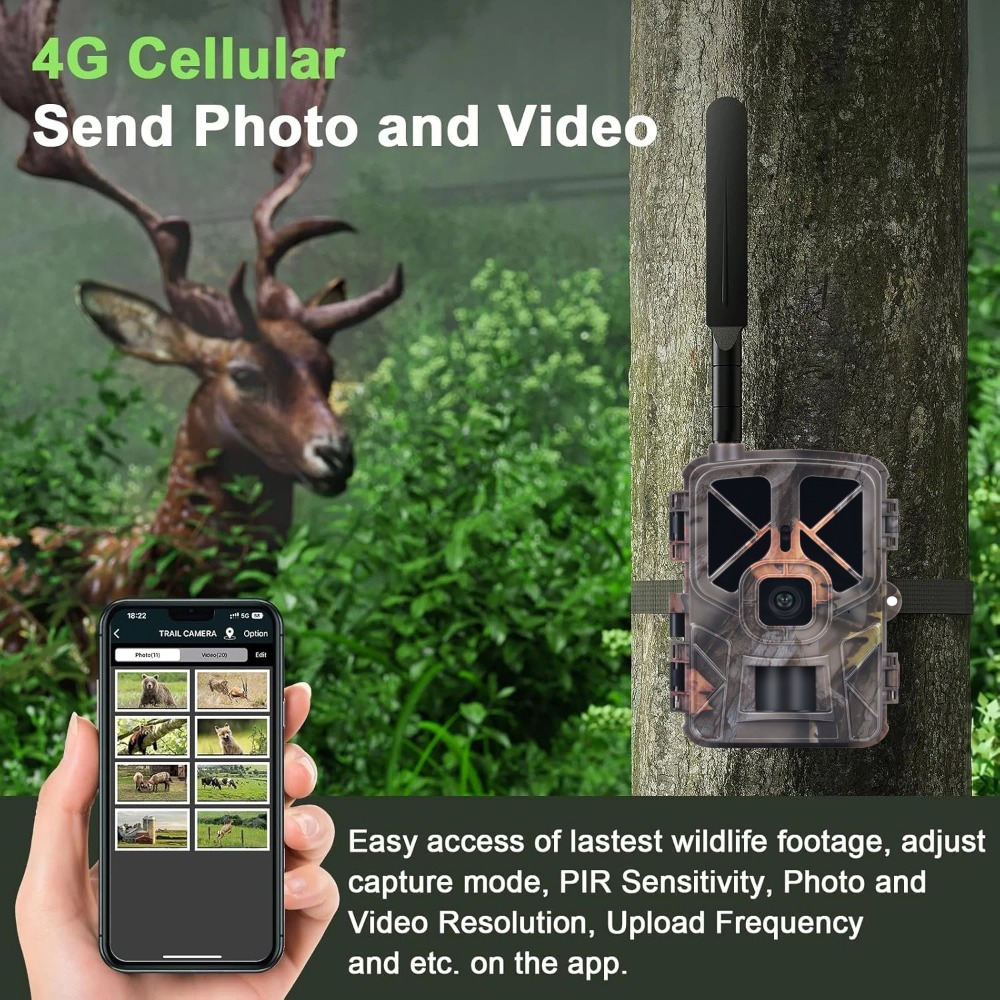 Outdoor 4G 30MP 2K Live Show W - Hunting Outdoor Shows บทวิจารณ์และราคา