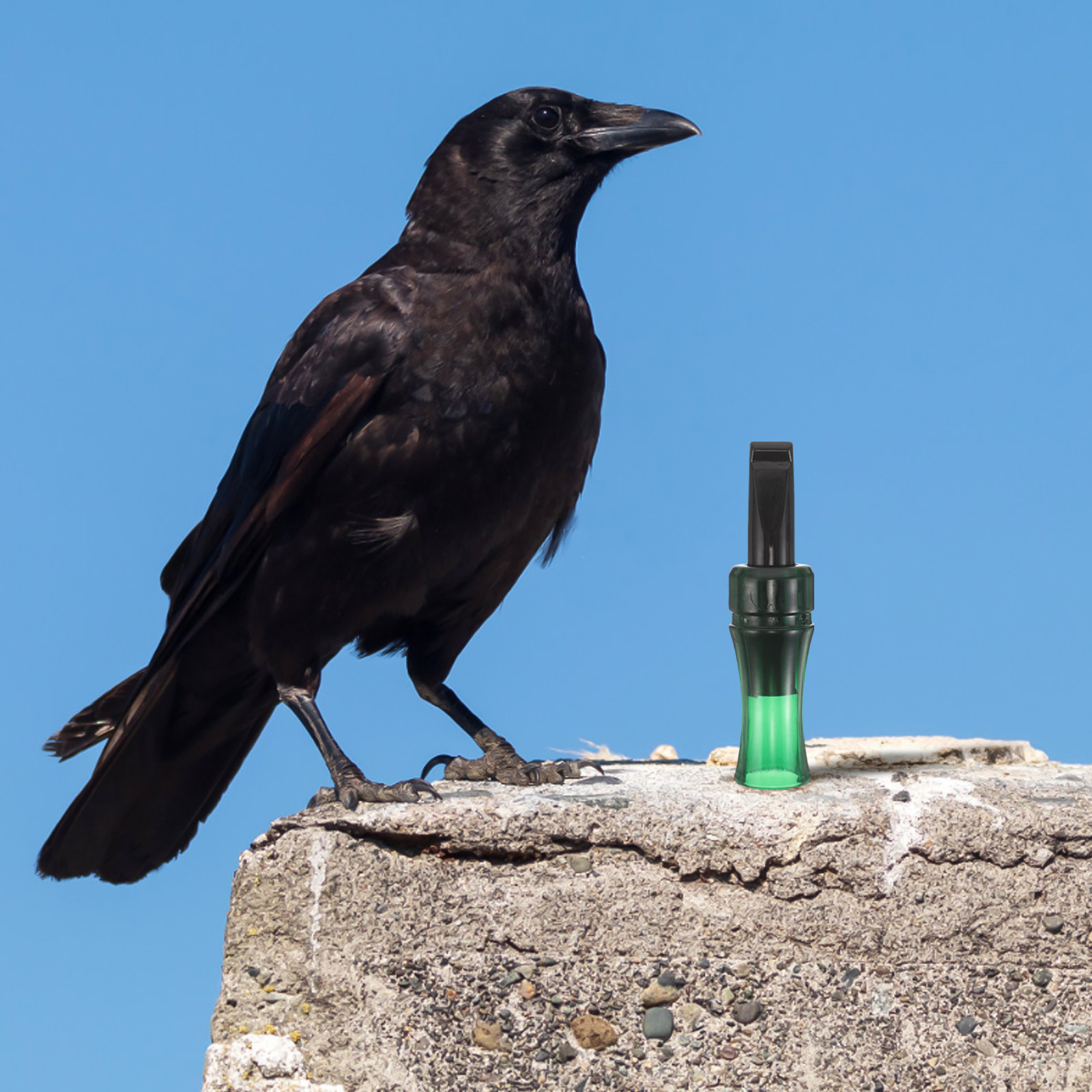 Realistic Crow Decoy Call Whis - Outdoor Hunting Photography บทวิจารณ์และราคา